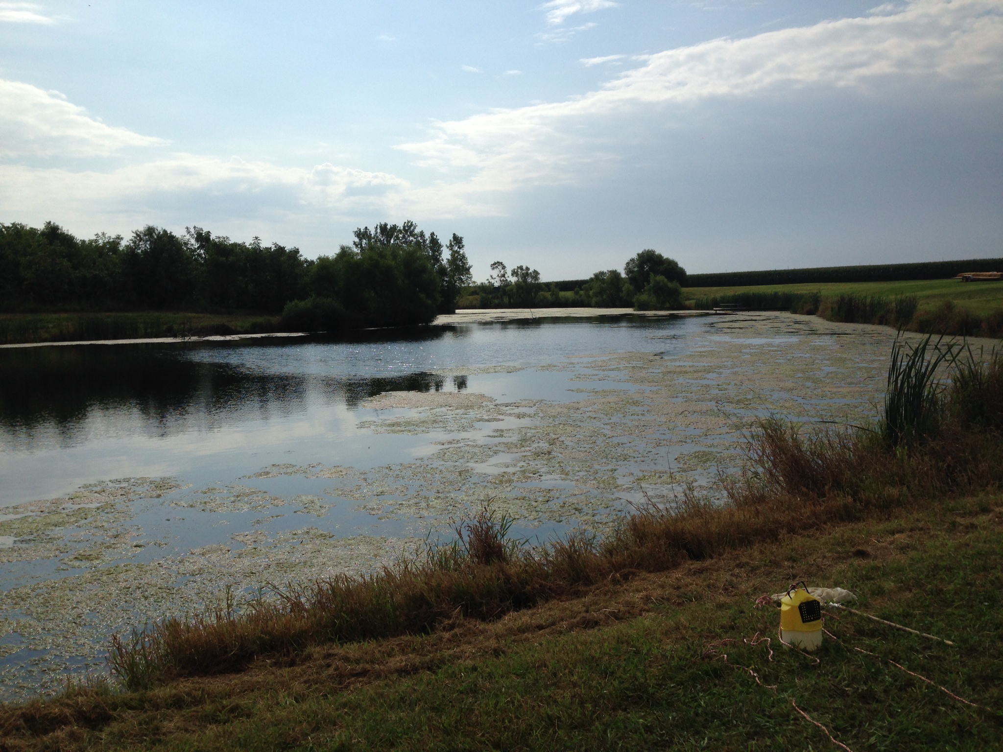 Water Montgomery County Soil & Water Conservation District